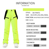 Thumbnail for Women's High Quality Ski Pants -, Snow Pants , Drestiny , Australia, Black, Brown, Canada, Grey, L, Light Blue, M, Neon Green, Off White, Purple, S, Sky Blue, Snow Pants, United Kingdom, United States, White, XL, XS, XXL, XXXL, Yellow , Drestiny , www.shopdrestiny.com