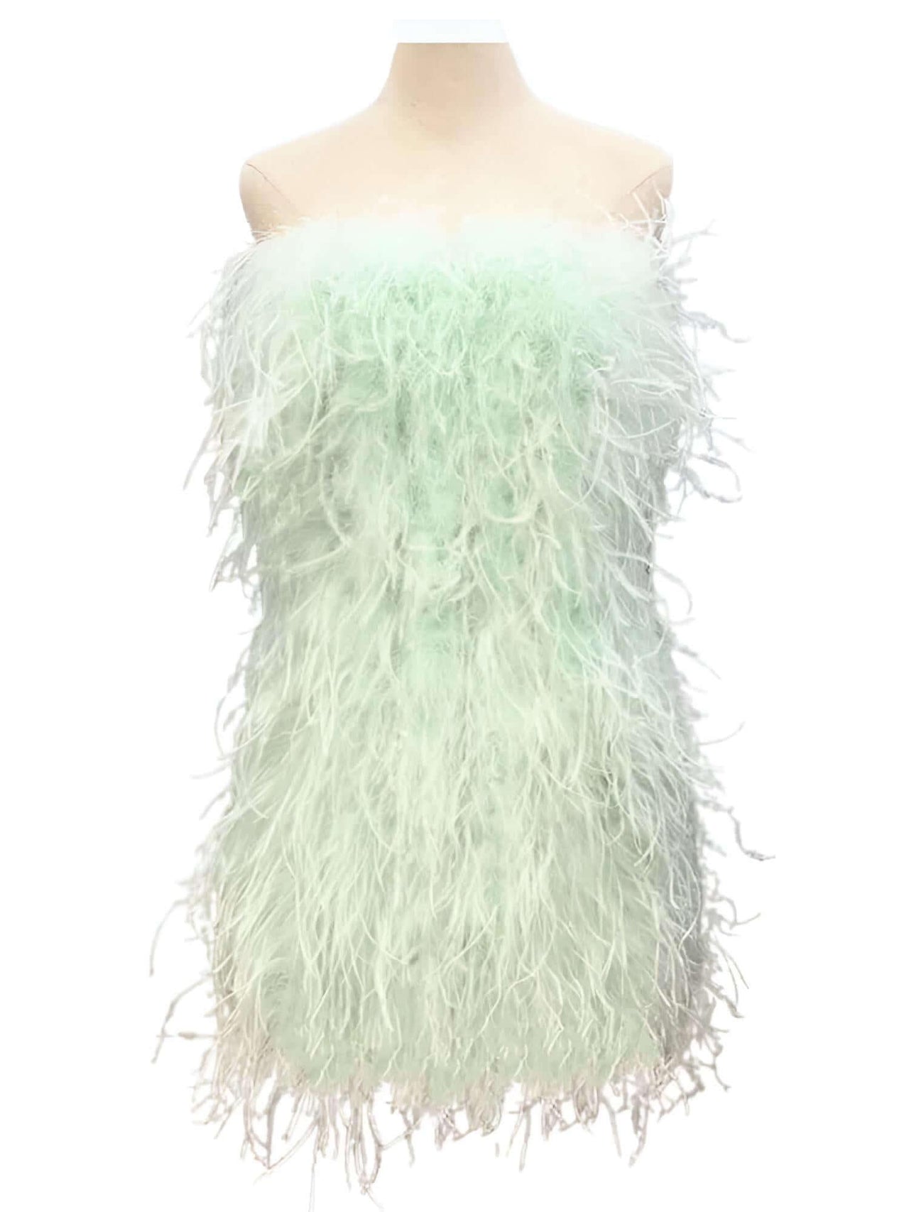 Elegant 100% Ostrich Feather Mini Dresses - In 11 Colors! -, Dress , Drestiny , 4XL, 5XL, Australia, Beige, Black, Canada, Coral, Deep Pink, Dusty Pink, Grey, L, Light Purple, M, Mini Dresses, Mint, New Zealand, Orange, Red, Royal Blue, S, Sleeveless, Strapless, United Kingdom, United States, White, XL, XXL, XXXL , Drestiny , www.shopdrestiny.com