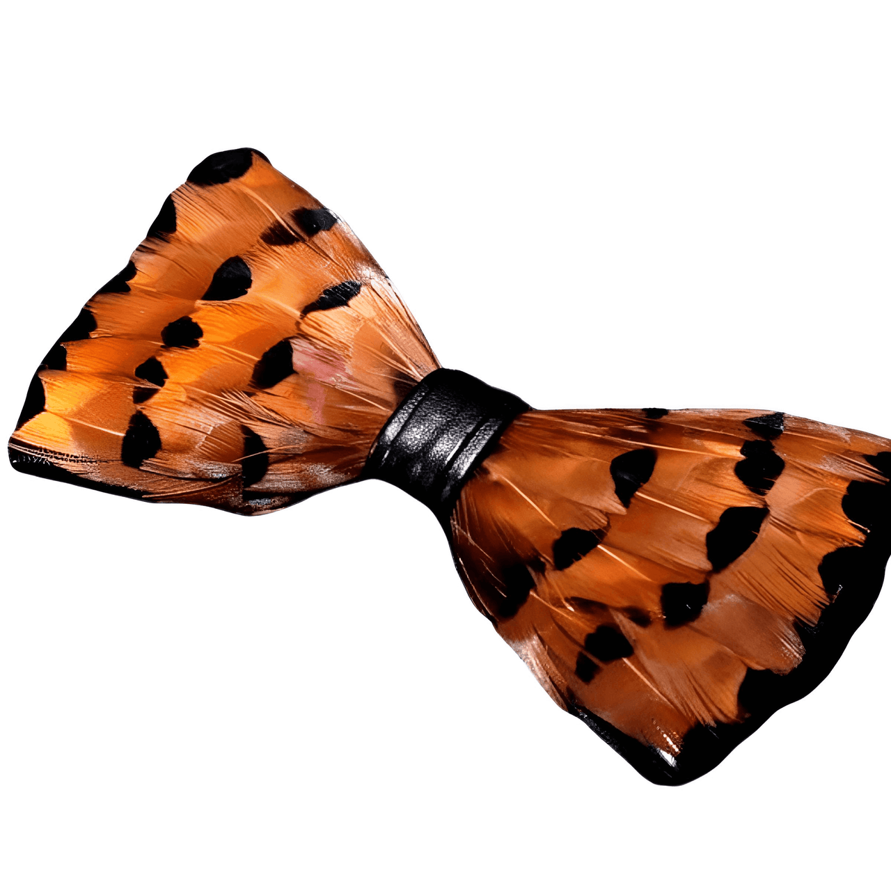 Luxury Peacock Feather Bow Ties -, Bow Tie , Drestiny , Australia, Beige, Black, Blue, Blue Grey, Bow Ties, Brown, Canada, Champagne, Dark Blue, Dark Orange, Gold, Green, Grey, Light Blue, New Zealand, Orange, Purple, Red, Turquoise, United Kingdom, United States, White, Yellow , Drestiny , www.shopdrestiny.com