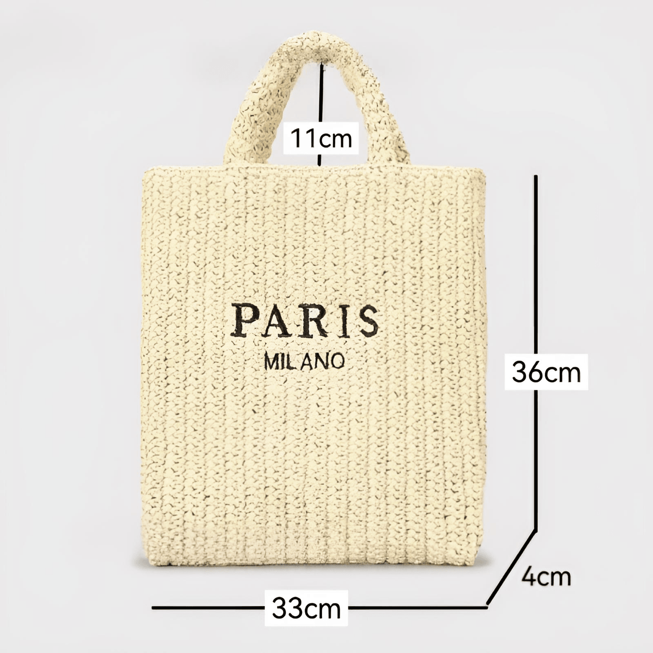 Raffia Straw Paris Bags