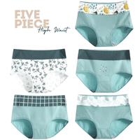 Thumbnail for Women's Cotton Briefs - Five Pack! -, Panties , Drestiny , Australia, Dark Red, Gender_Women, Green, L, Light Blue, M, New Zealand, Pink, Purple, Red, Teal, Underwear, United Kingdom, United States, White, XL, XXL, Yellow , Drestiny , www.shopdrestiny.com