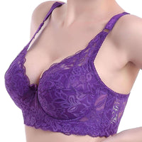 Thumbnail for Women's Full Cup Lace Bra -, Bras , Drestiny , Australia, Bras, Canada, Gender_Women, New Zealand, Pink, Purple, Red, United Kingdom, United States , Drestiny , www.shopdrestiny.com